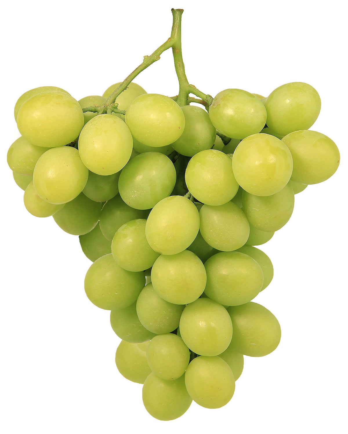 White Grapes Australia