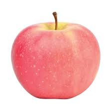 Apple Fuji Premium