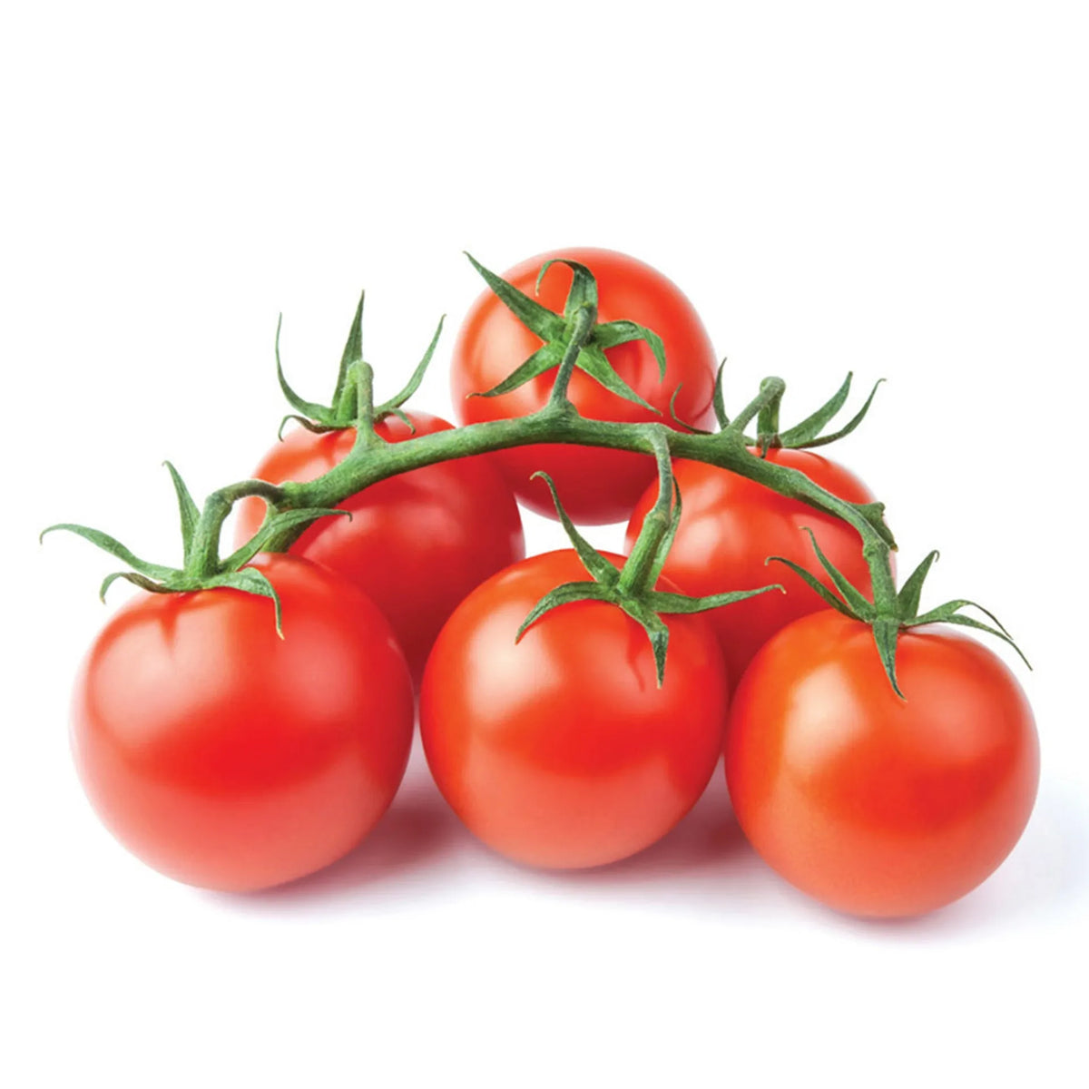 Tomato Bunch