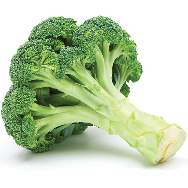 Broccoli