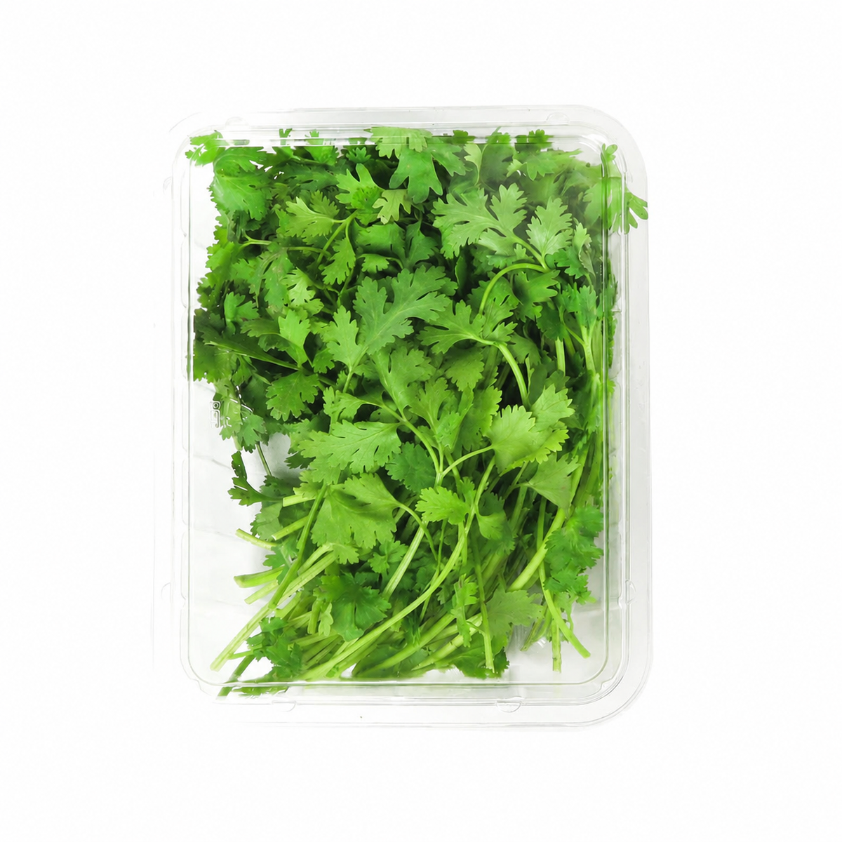 Coriander leaves PACK