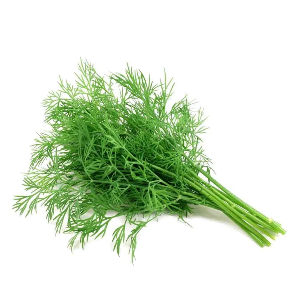 SHABATH LEAVES PACK