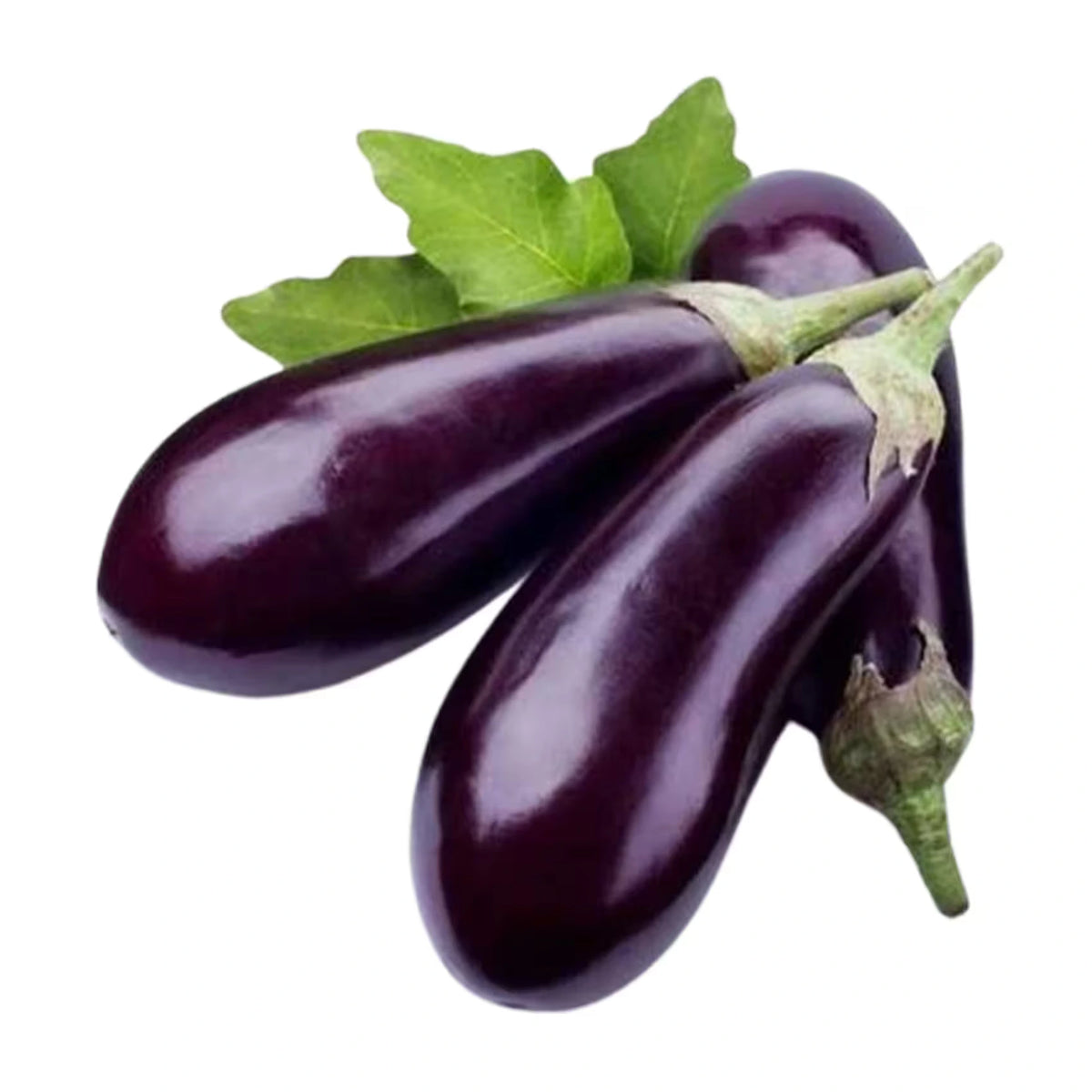 FRESH EGGPLANT