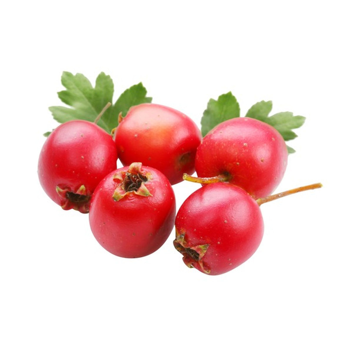 HAWTHRON BERRY