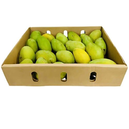 MANGO FASS BOX