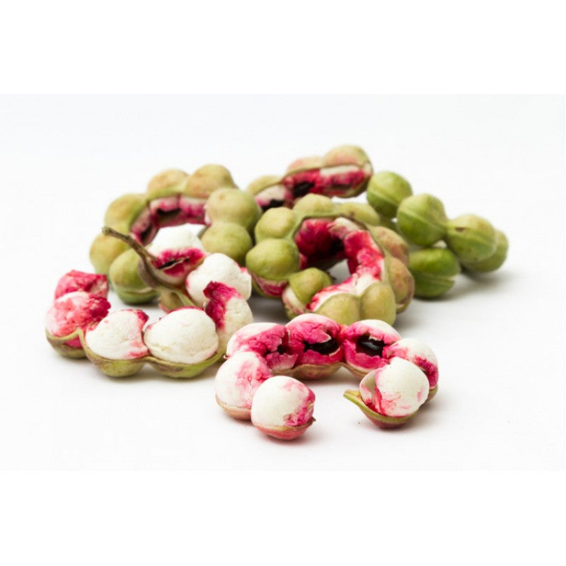 MANILA TAMARIND