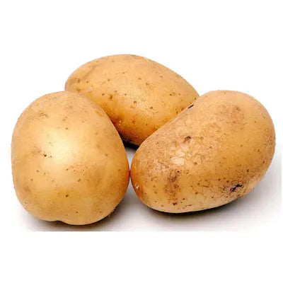 POTATO