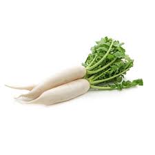 RADDISH WHITE