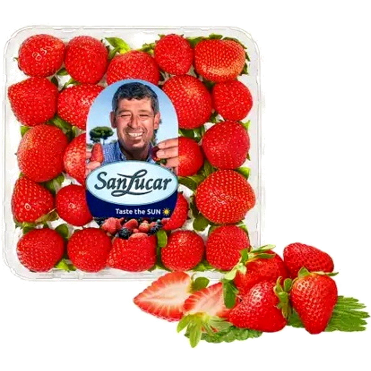 STRAWBERRY TUNISIA