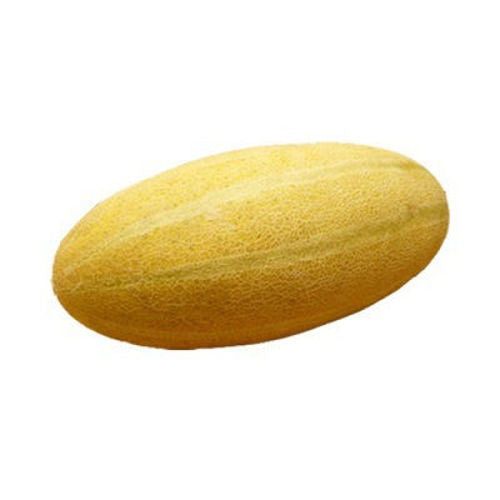 SWEETMELON MASHADI