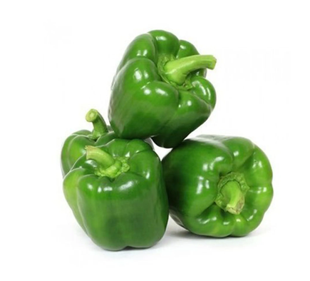CAPSICUM GREEN