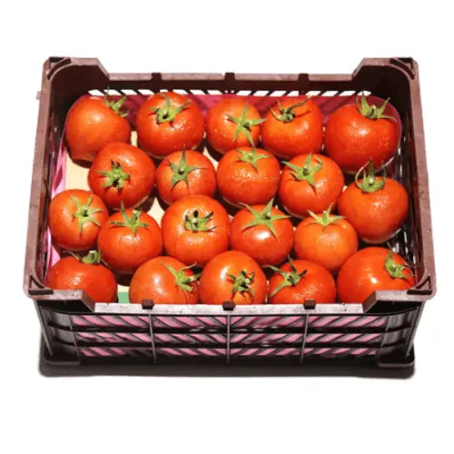 TOMATO BOX