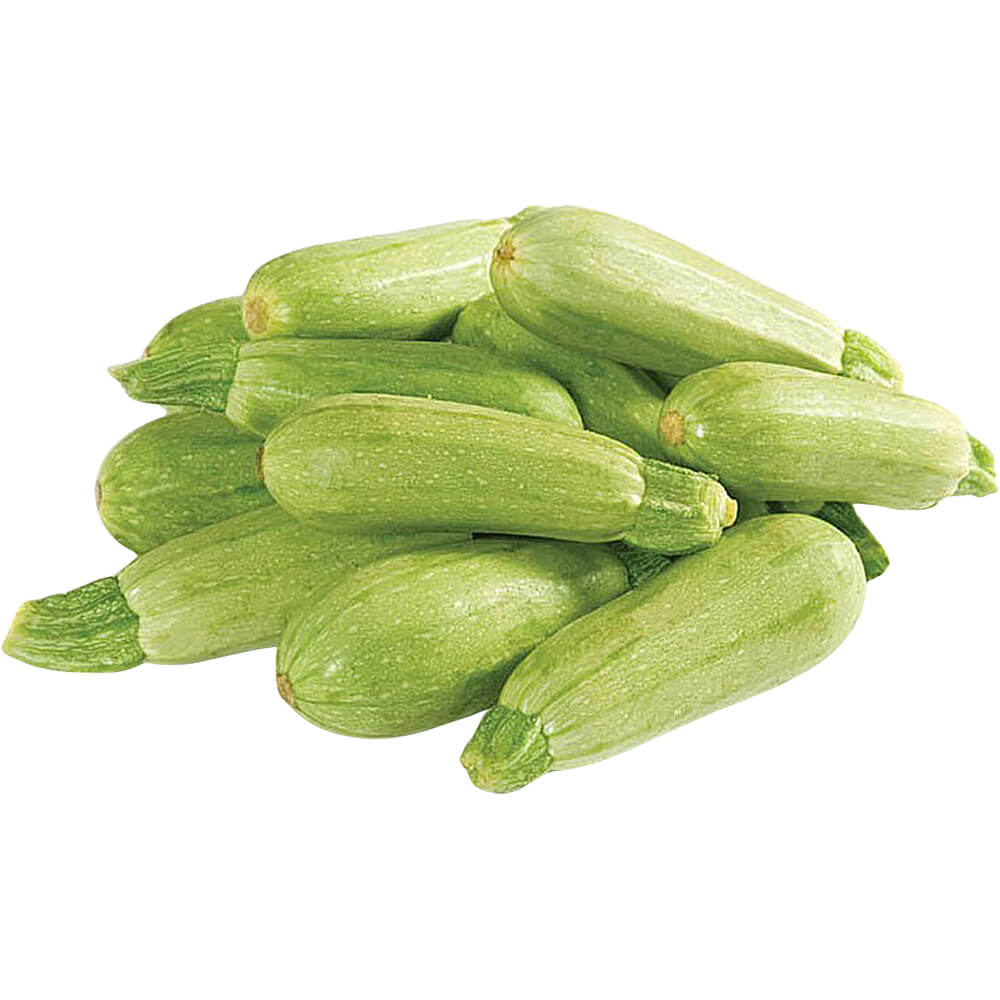 MARROW (zucchini)