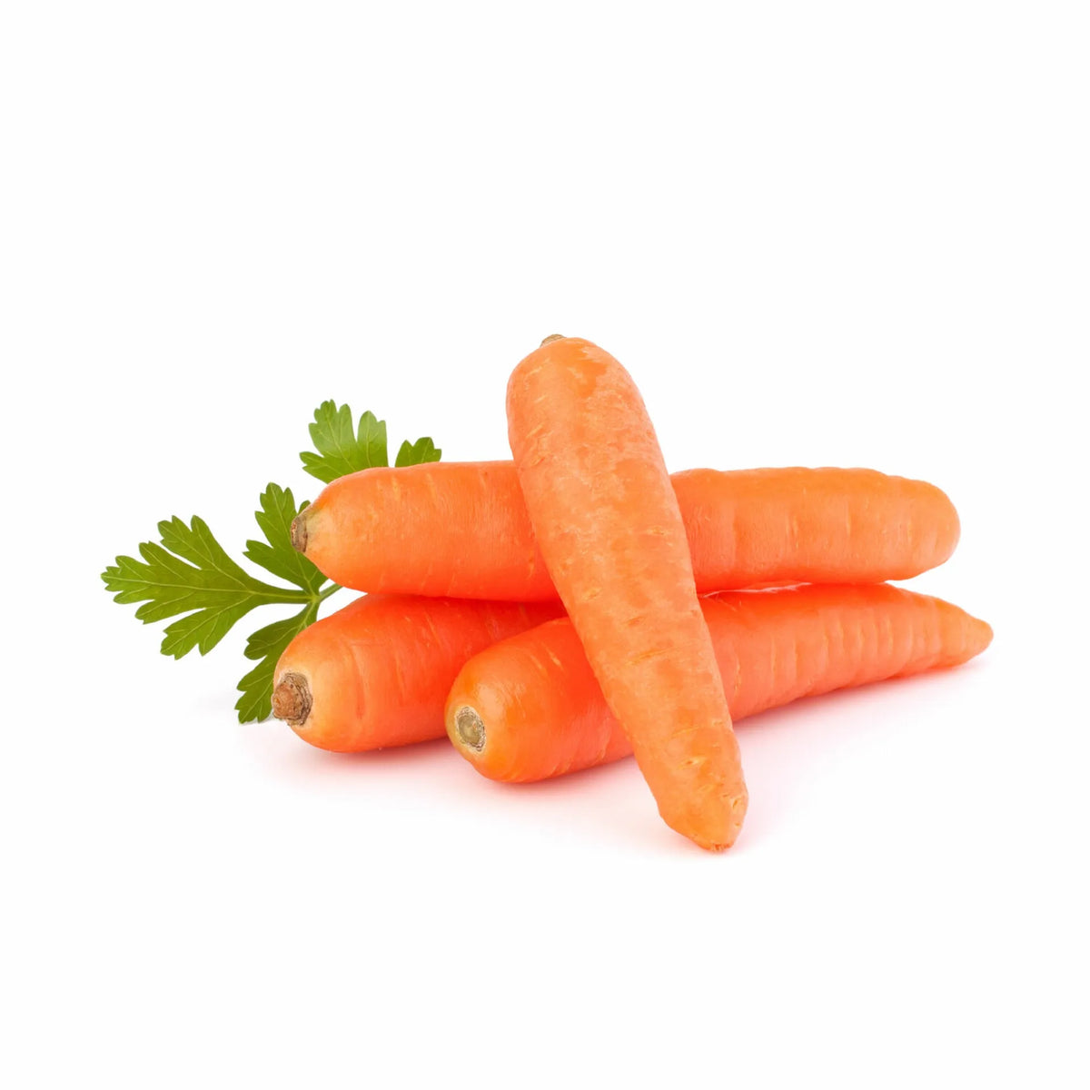Carrot