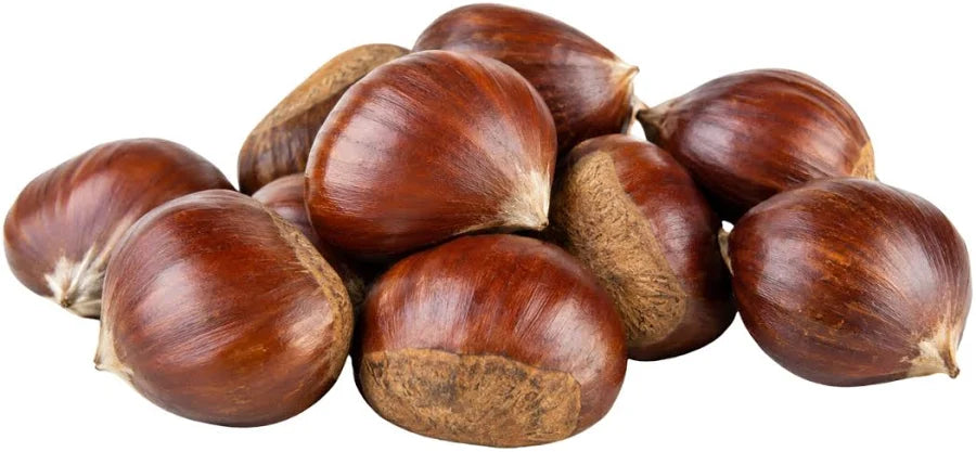 CHESTNUT