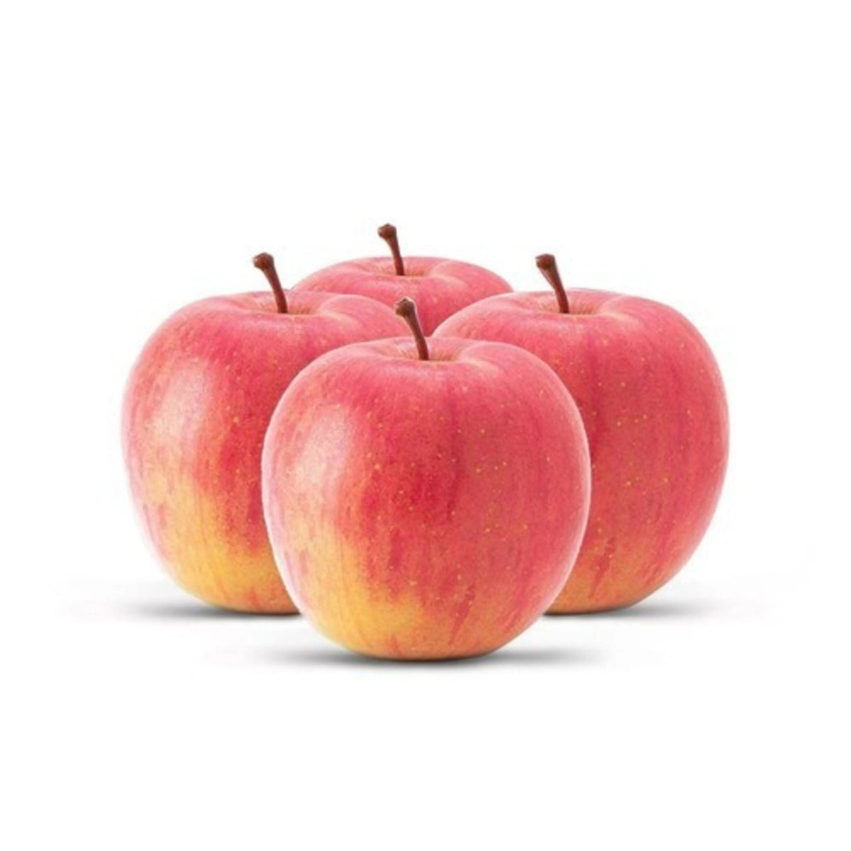Apple Fuji Premium