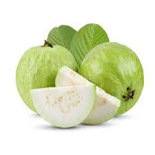 GUAVA KG