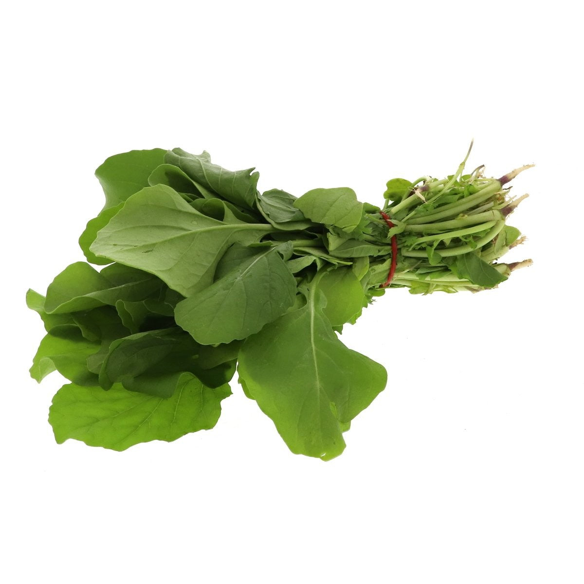 Jerjeer LEAVES