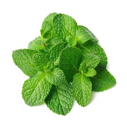 Mint Leaves