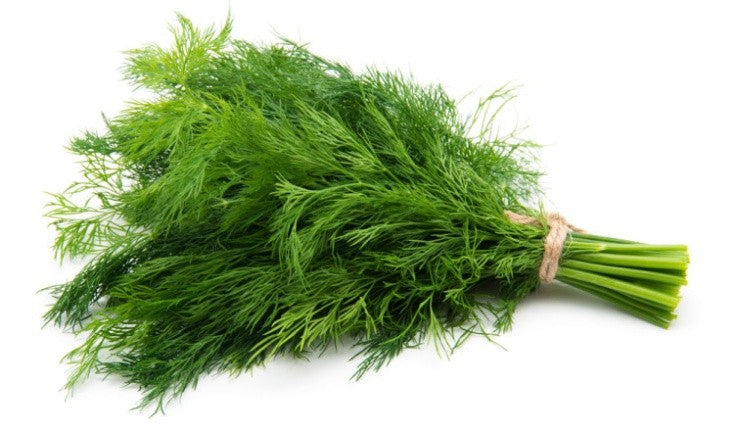 SHABATH LEAVES PACK