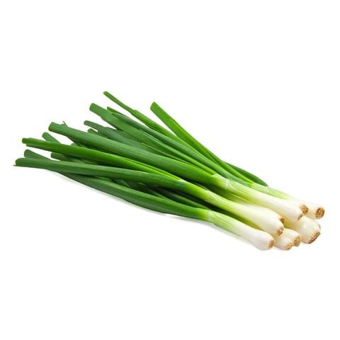 Spring Onion